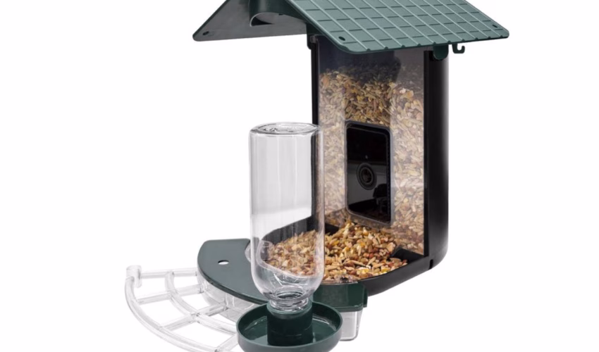 slimme vogelcamera met wifi van de Action | Review