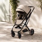 2-in-1 meegroei kinderwagen taupe Action Review De Beste Kopen