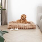 Groot fluffy hondenkussen Action Review De Beste Kopen