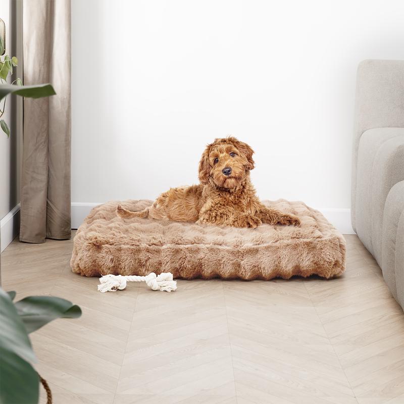 Groot fluffy hondenkussen Action Review De Beste Kopen