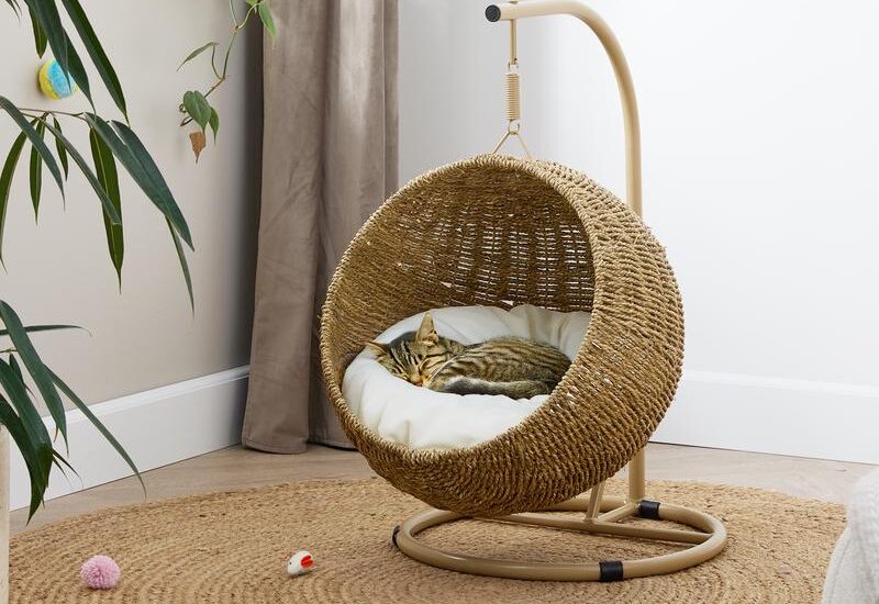 Hangstoel voor katten Action Review De Beste Kopen