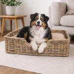 Hondenmand met kussen Action Review De Beste Kopen