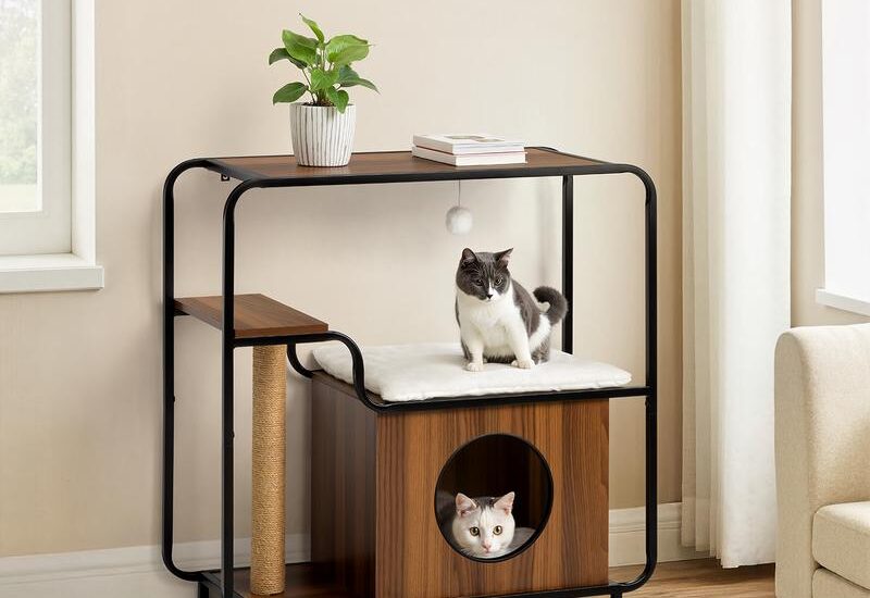 Kattenmeubel wandkast met krabpaal Action review De Beste Kopen