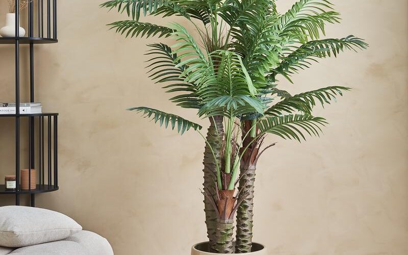 Kunstplant palm Action Review De Beste Kopen
