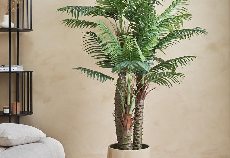 Kunstplant palm Action Review De Beste Kopen