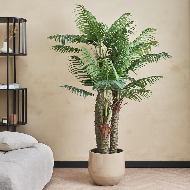 Kunstplant palm Action Review De Beste Kopen