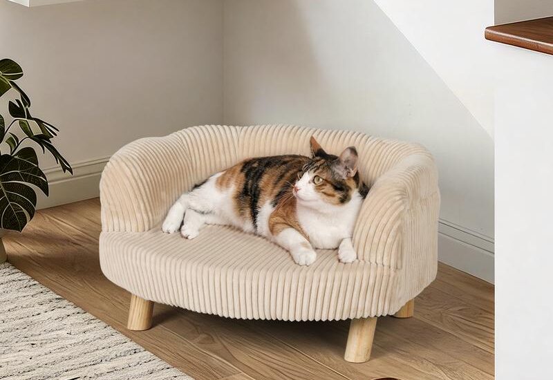 Teddy rib huisdierenfauteuil taupe Action Review De Beste Kopen