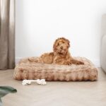 Groot fluffy hondenkussen Action review De Beste Kopen