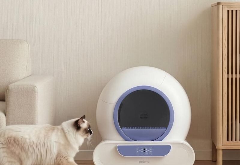 Hombli Petmo C1 zelfreinigende kattenbak Action review De Beste Kopen